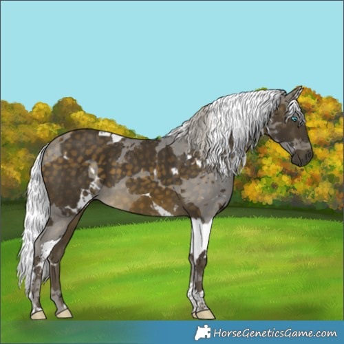 Horse Color:White Spotted Silver Buckskin Merle Tobiano 