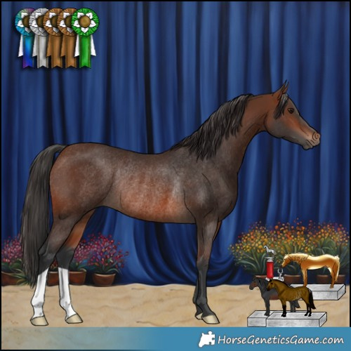 Horse Color:Brown Rabicano 