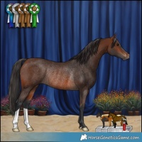 Horse Color:Brown Rabicano 