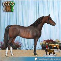 Horse Color:Brown Rabicano 