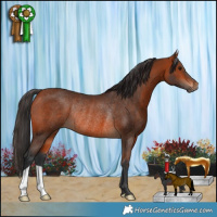 Horse Color:Brown Rabicano 