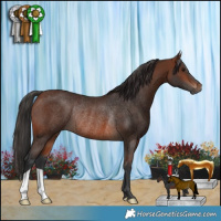 Horse Color:Brown Rabicano