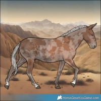 Horse Color:Silver Black Merle 