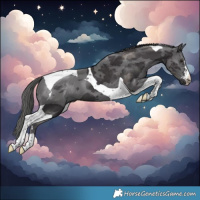 Horse Color:Smoky Black Merle Tobiano 