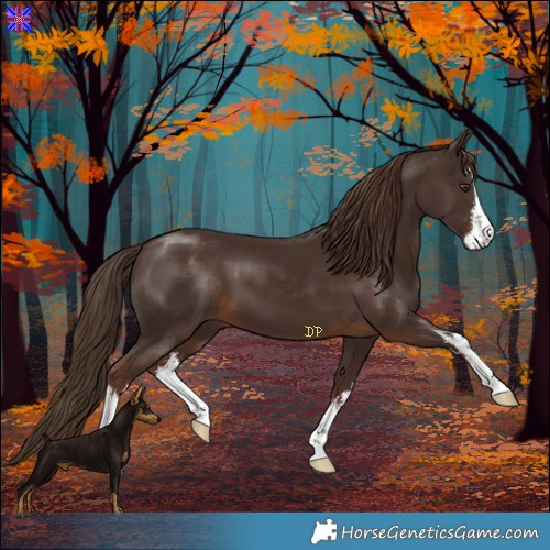 Horse Color:White Spotted Liver Chestnut 