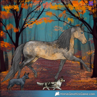 Horse Color:Buckskin Merle