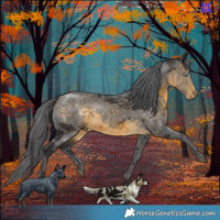 Horse Color:Buckskin Merle 