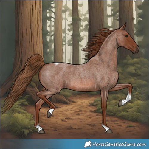 Horse Color:Red Roan Tobiano