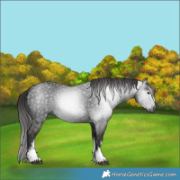 Horse Color:Gray White Spotted Liver Chestnut 