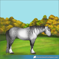 Horse Color:Gray White Spotted Liver Chestnut 