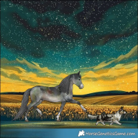 Horse Color:Black Merle