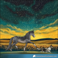Horse Color:Black Merle 
