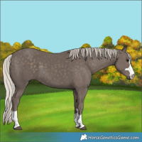 Horse Color:Silver Black 