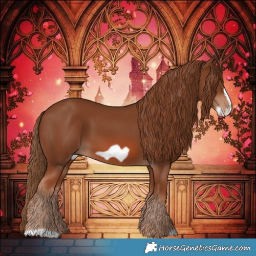 Horse Color:Chestnut Frame 