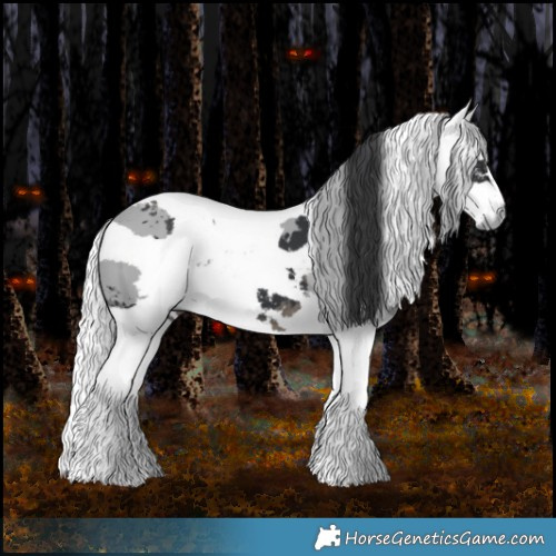 Horse Color:Black Merle 