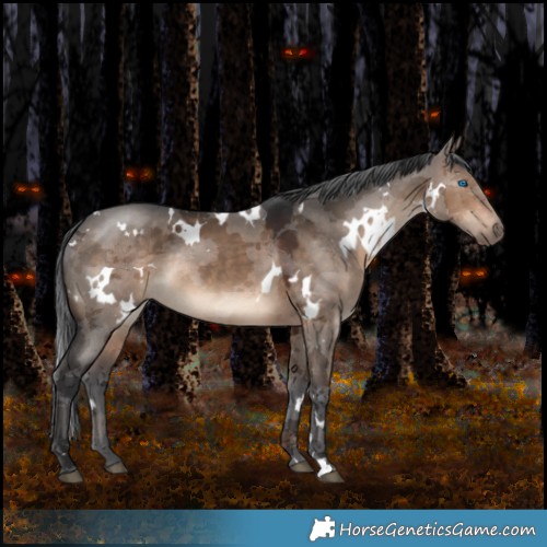 Horse Color:White Spotted Brown Dun Merle Rabicano 