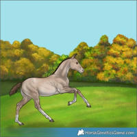 Horse Color:Grullo Snowdrop Pearl Tobiano Varnish Rabicano 