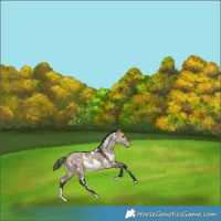 Horse Color:White Spotted Bay Dun Varnish Rabicano 