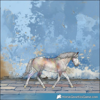 Horse Color:Gray Nacre Silver Buckskin Onyx Merle Splash Tobiano Rabicano 