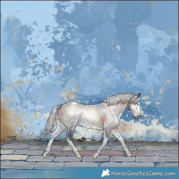 Horse Color:Gray Nacre Silver Buckskin Onyx Merle Splash Tobiano Rabicano