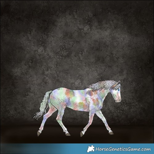 Horse Color:Nacre Silver Buckskin Onyx Merle Splash Tobiano Rabicano 
