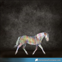 Horse Color:Nacre Silver Buckskin Onyx Merle Splash Tobiano Rabicano