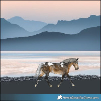Horse Color:Gray Silver Buckskin Merle Rabicano 
