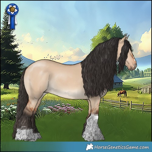 Horse Color:Bay Dun Tobiano Rabicano 