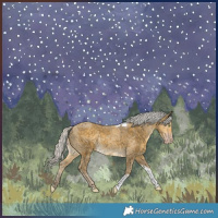 Horse Color:Silver Classic Cream Champagne Merle Tobiano 