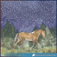 Horse Color:Silver Classic Cream Champagne Merle Tobiano 