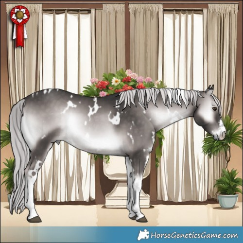 Horse Color:Platinum White Spotted Chocolate Palomino Onyx Mushroom Rabicano 