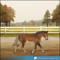 Horse Color:Chocolate Palomino Tobiano