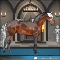 Horse Color:Brown Merle