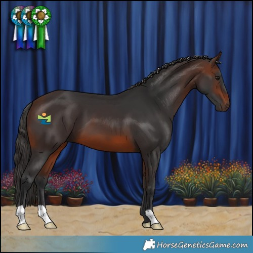 Horse Color:Brown 