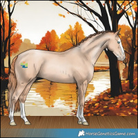 Horse Color:Sable Champagne Pearl Splash 