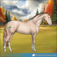 Horse Color:Sable Champagne Pearl Splash