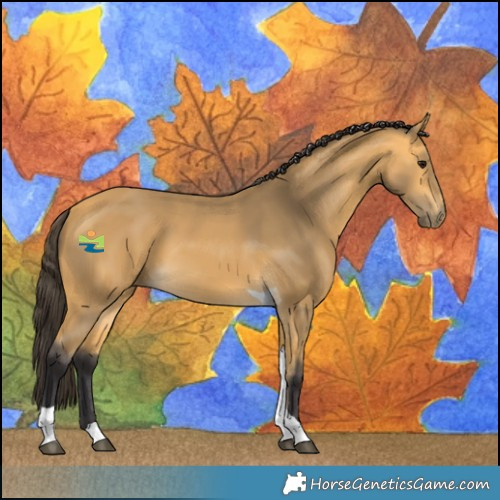 Horse Color:Buckskin Tobiano 