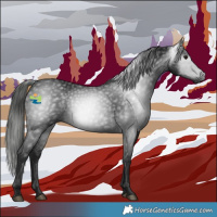 Horse Color:Gray Black
