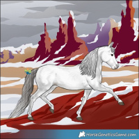 Horse Color:Gray Bay Sabino Appaloosa 