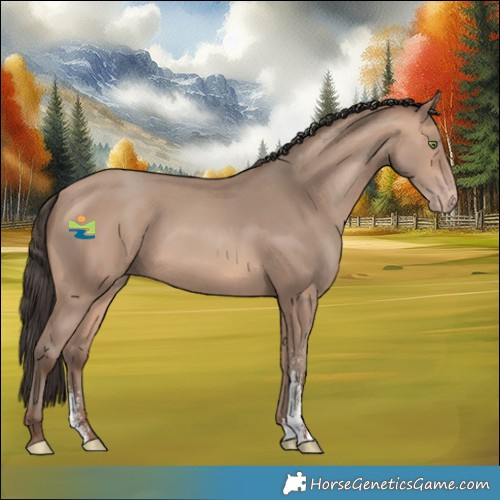 Horse Color:Amber Champagne Sabino 