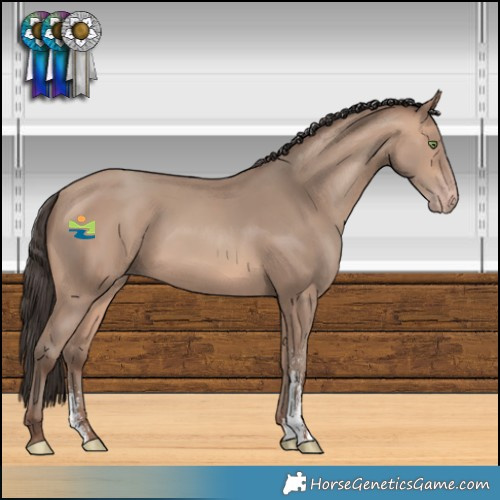 Horse Color:Amber Champagne Sabino 