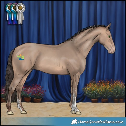 Horse Color:Amber Champagne Sabino 