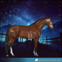 Horse Color:Gray Bay Sabino 