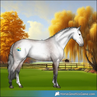 Horse Color:Gray Bay Sabino 