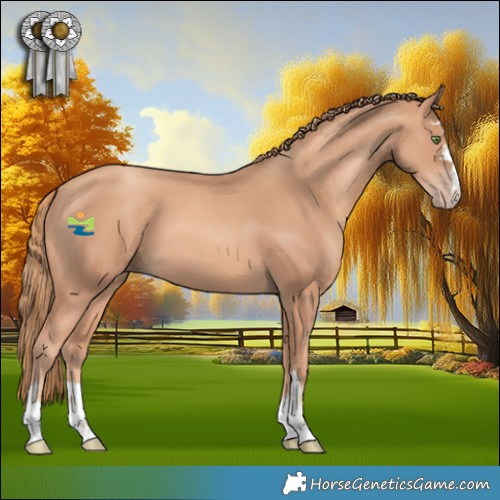 Horse Color:Gold Champagne 