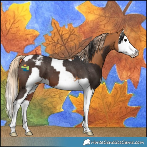 Horse Color:Brown Varnish  and Chestnut Splash Snowcap 