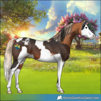 Horse Color:Brown Varnish  and Chestnut Splash Snowcap 