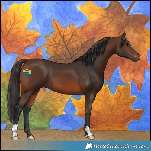 Horse Color:Brown 