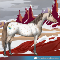 Horse Color:Bay Dun Near Leopard 