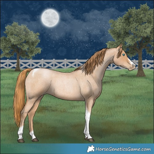 Horse Color:Red Roan Pearl Tobiano Frame 